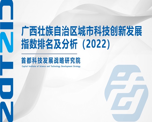 鸡巴操屁股免费看片【成果发布】广西壮族自治区城市科技创新发展指数排名及分析（2022）